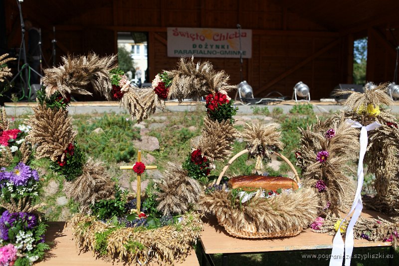 dozynki 2011-120.jpg